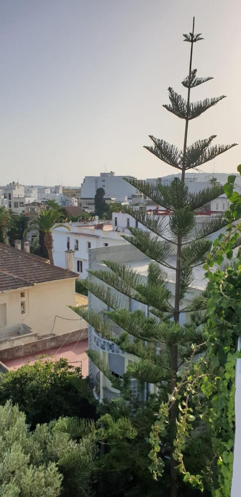 Guesthouse Kasbah Old Medina Tanger Luaran gambar